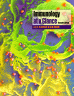 Immunology at a Glance